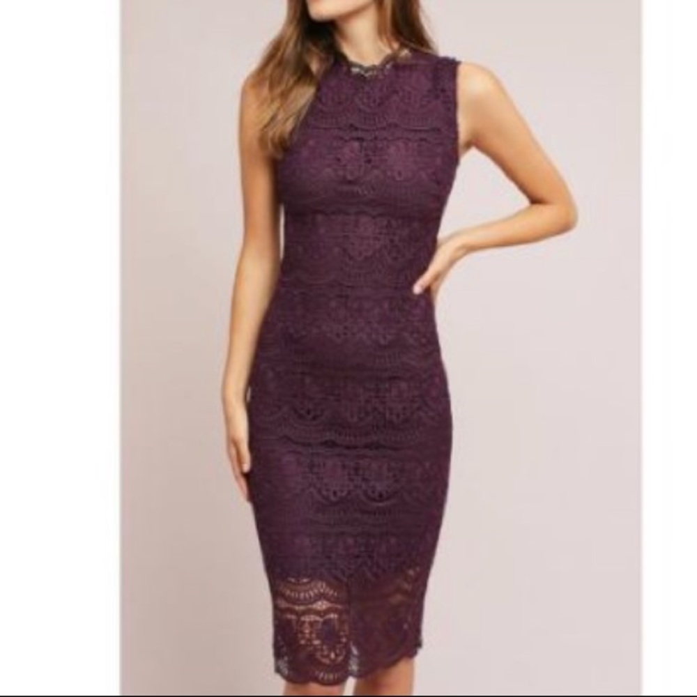 Shoshanna lace dress